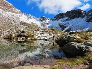 Lago di Pietra Quadra (2116 m)-prima neve in bella compagnia dalle Baite di Mezzeno-29sett25 - FOTOGALLERY